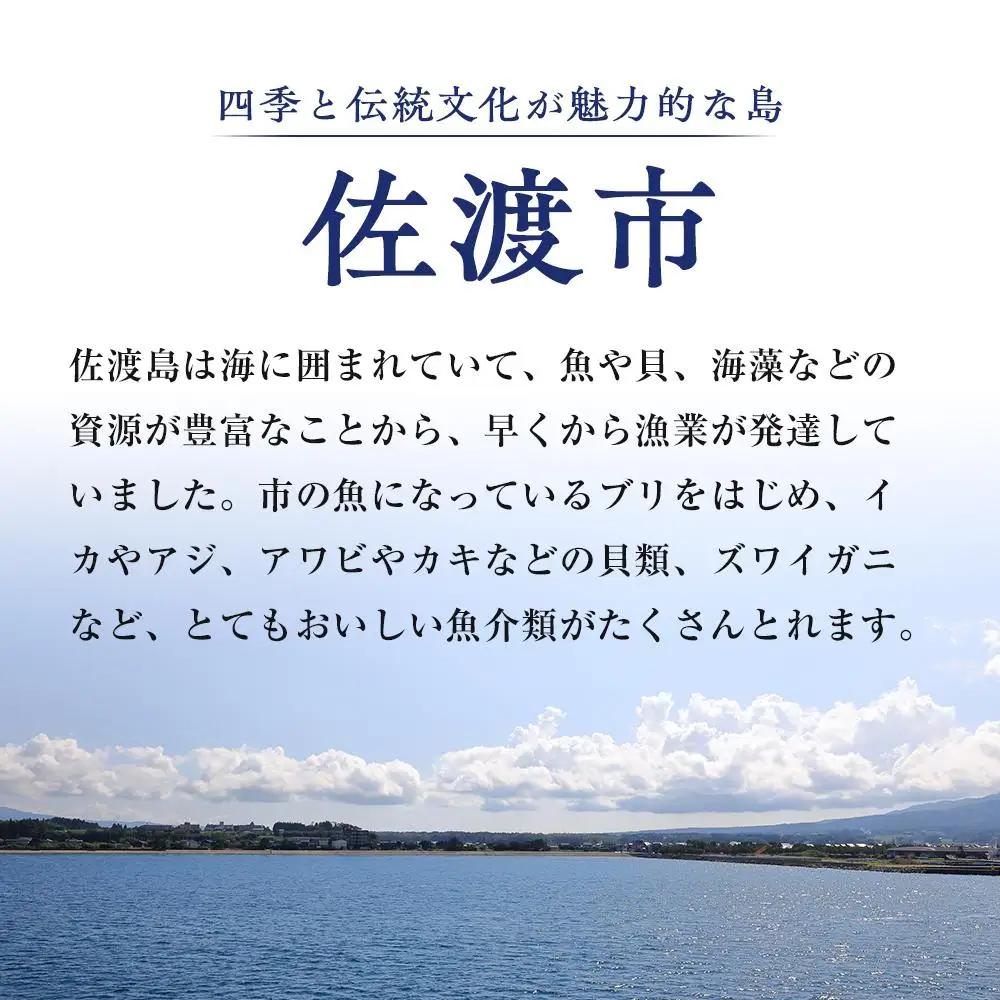 干物イカ 佐渡産 4枚 ( 1袋2枚 × 2 ) イカ