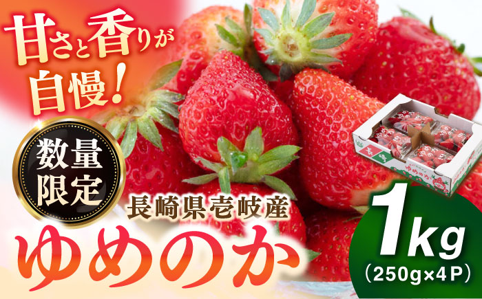 【先行予約】【2026年3月以降順次発送】壱岐市産 いちご ゆめのか 1kg（250g×4パック）《壱岐市》【壱岐市農業協同組合】 イチゴ フルーツ 果物 スムージー 完熟 春 先行予約 数量限定 [JBO138] 12000 12000円