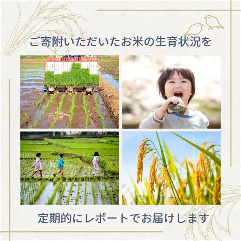 令和8年産 【12月配送】 新潟県上越市産 みずほの輝き 5kg 先行予約 新米 蛍の里