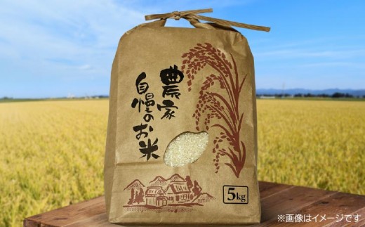 【新米】淡路島 南あわじ産　お米（きぬむすめ）