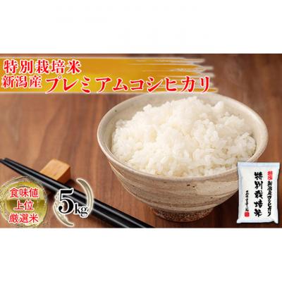 ふるさと納税 新潟市 特別栽培米 新潟産コシヒカリ白米 5kg [54070584]