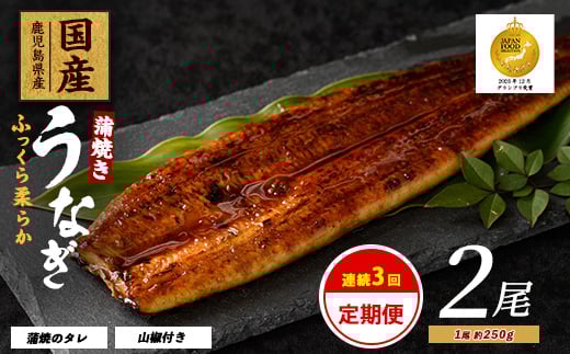 
            【全３回定期便・連続お届け】鹿児島県産 うなぎ 蒲焼 じっくり焼き約250g×2尾(大新/Z060-1696) 鰻 蒲焼 国産 丑の日 うな重 無頭 ギフト ふっくら 小分け レンジ 簡単 頒布会 小分け うな丼 ウナギ 冷凍
          