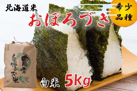 ＜ 10月中旬より発送開始 ＞ 新米 令和8年度産 北海道米 おぼろづき 白米 5kg 北海道 新ひだか町 ＜ 予約受付 ＞