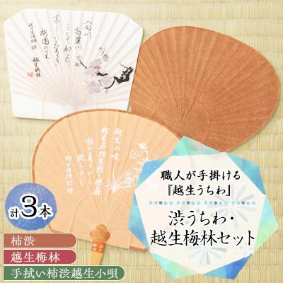 ふるさと納税 越生町 渋うちわ・越生梅林セット