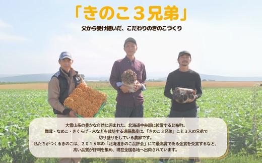 遠藤農産　まいたけ・なめこ・きくらげセット