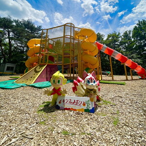 NOZARU KOZARU キツネノボリ 施設利用券6,000円分（3,000円×2枚）｜体験 アスレチック アクティビティ 遊び 観光 旅行 子供 チケット 那須 栃木県 那須町〔C-74〕