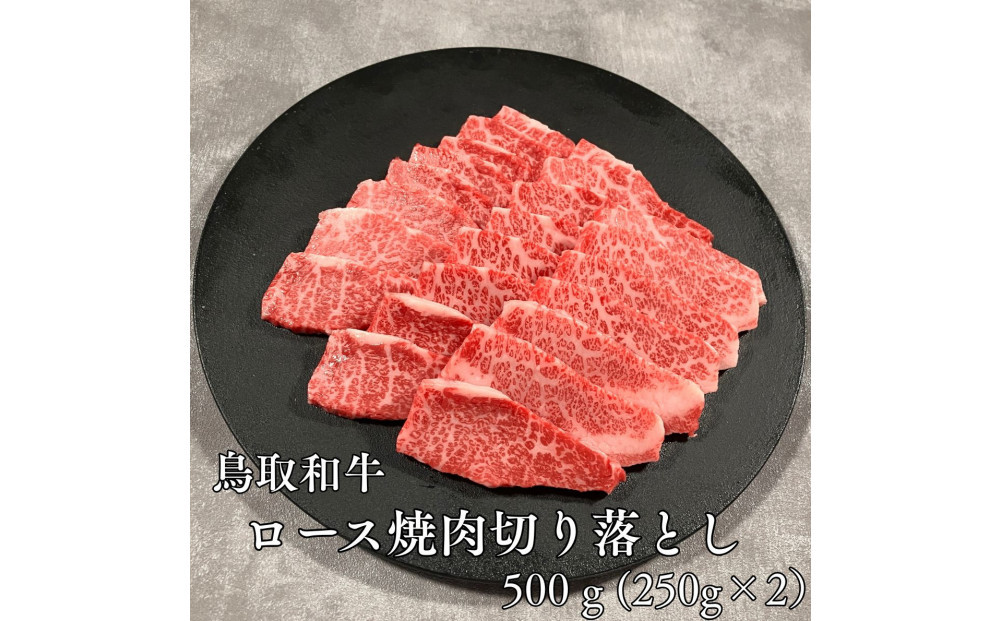 鳥取和牛ロース焼肉切り落とし　500ｇ（250g×2P） 313726_DC010