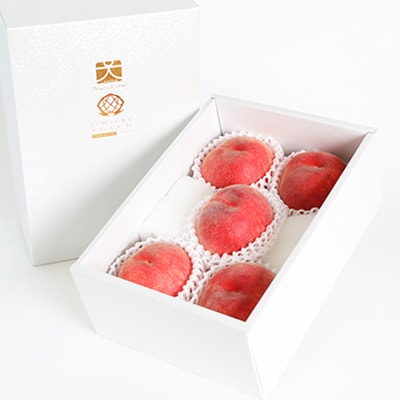 桃 1.5kg 4～7玉 やまなし内藤農園 ジュエリーピーチ (R) 白桃【配送不可地域：離島・沖縄県】