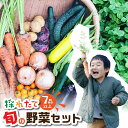 【ふるさと納税】旬の野菜 7品目以上 金賞受賞 旬彩野菜セット 7品目 レシピ付き お届け 国産 新鮮 農薬不使用 化学肥料不使用 産地直送 こだわり野菜 送料無料