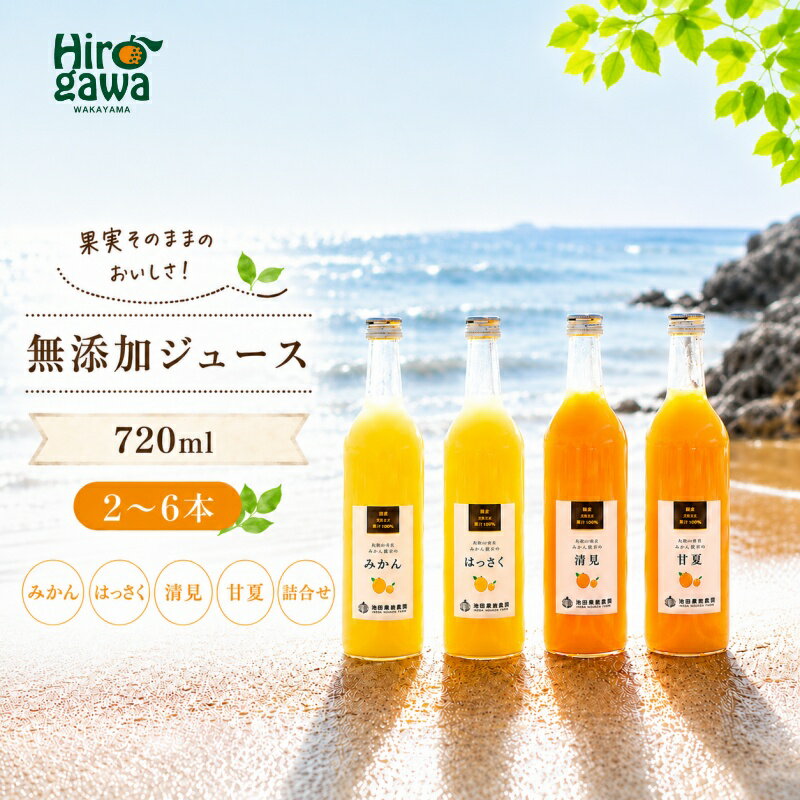 【ふるさと納税】 有田 みかん 100% ジュース / 温州みかん 有田みかん ストレート 果汁 無添加 柑橘 和歌山 7000円 720ml ※北海道・沖縄・離島への配送不可 //drink