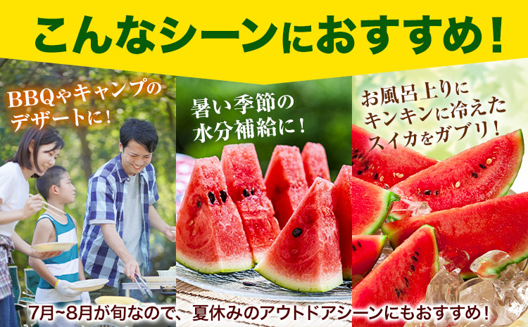 上津深江 大玉すいか 1玉 2L 3L《7月中旬-8月下旬頃出荷》熊本県 苓北町 スイカ 西瓜 大玉 フルーツ 果物 夏 旬 産地直送 夏ギフト くだもの 青果---reihoku_loc_825_1