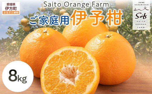 【先行予約】Saito Orange Farm ご家庭用 伊予柑8kg （2027年1月中旬頃より順次発送予定）【 ふるさと納税 人気 おすすめ 柑橘 みかん ミカン フルーツ  果物 伊予柑　宮内伊予柑　】 IKTAQ028