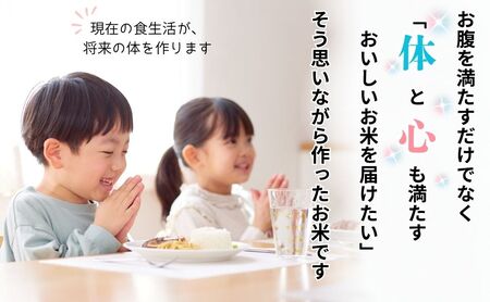 玄米 【10kg】 令和7年産 コシヒカリ 特別栽培米 【みのり農園】7-22A