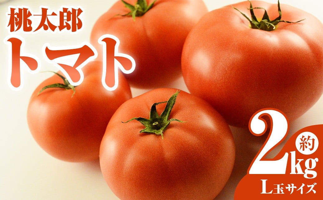 
            桃太郎トマト L玉 2kg 【2026年5月上旬～6月下旬発送予定】  ／ トマト とまと 桃太郎 野菜 やさい 甘味 酸味 旨味 山梨県産 国産 山梨県 中央市 常温
          