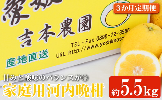 河内晩柑３回お届け定期便／家庭用愛南ゴールド 5.5kg×3回＜柑橘 希少 果物 国産 フルーツ みかん 蜜柑 定期便 家庭用 和製 グレープフルーツ ブランド 果実 ビタミン 愛媛県 鬼北町 ＞