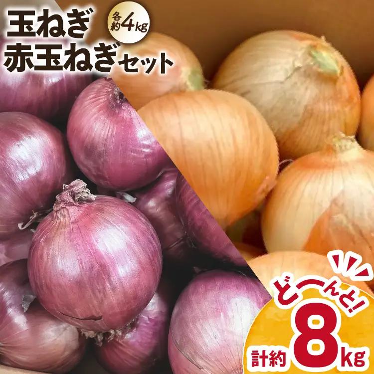 玉ねぎ 赤玉ねぎ セット 各約4kg 計約8kg