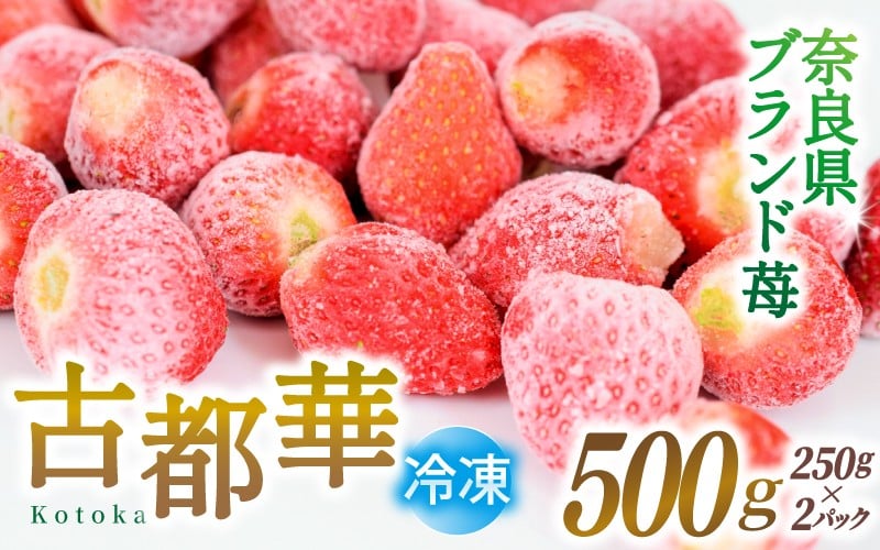 
            ブランド苺 冷凍 古都華 約500g [250g×2パック] 【2026年5月上旬～6月下旬に順次発送】／ 若手農家 地域応援 古都華 いちご 冷凍いちご イチゴ 苺 奈良 奈良県産いちご 葛城市 産直 高級 甘い 濃厚 あかい フルーツ 限定 果物 旬 スイーツ ギフト ふるさと納税 人気 ランキング 1位【smlk029】
          
