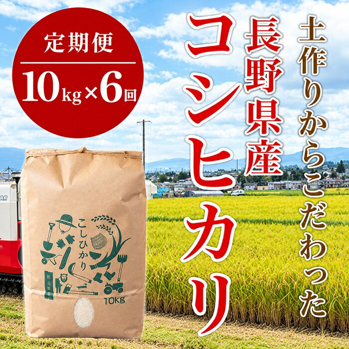 【ふるさと納税】米 コシヒカリ 1412【6か月連続お届け】長野県産米コシヒカリ 10kg