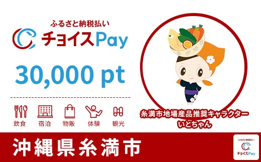 
                  糸満市チョイスPay 30,000pt【会員限定のお礼の品】
                
