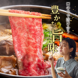 博多和牛 ローススライス 400g_KJ0306
