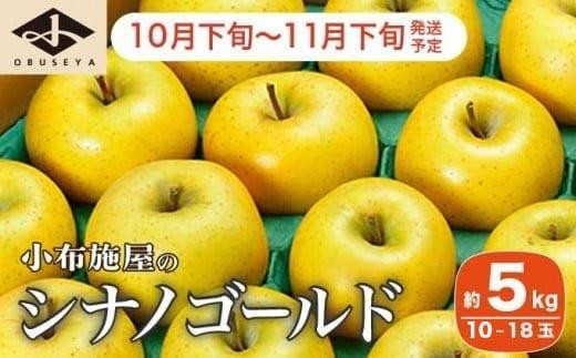 シナノゴールド 約5kg 10～18玉 ［小布施屋］ りんご 林檎 リンゴ 果物 フルーツ 令和8年産【2026年10月下旬～11月下旬発送】 ［A-10］