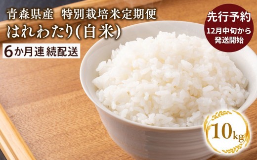 
                  ≪令和8年産 先行予約≫12月中旬よりお届け! 　【6カ月定期便】特別栽培米 はれわたり白米10kg(5kg×2袋)×6回【青森県 平川市】先行予約 米 お米 玄米 青森県産 産地直送 おにぎり 朝ご飯 冷めてもおいしい ご飯  コメ こめ 白米 ごはん ブランド米 特A 特A米 お取り寄せ グルメ
                