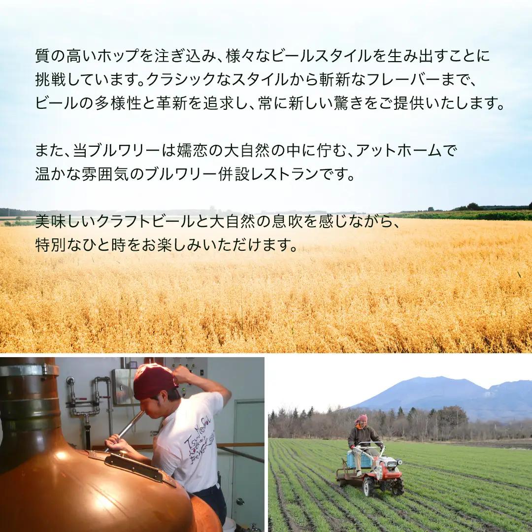 【 2026年 お歳暮 熨斗付 】 群馬麦酒10缶セット  ビール クラフトビール 嬬恋高原ブルワリー 350ml 10缶 飲み比べ [AA028tu]