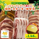 【ふるさと納税】【贈答用】パイナップルポークあぐー 焼肉・ステーキ・味噌漬セット(総重量1.46kg)【配送不可地域：離島】【1454349】