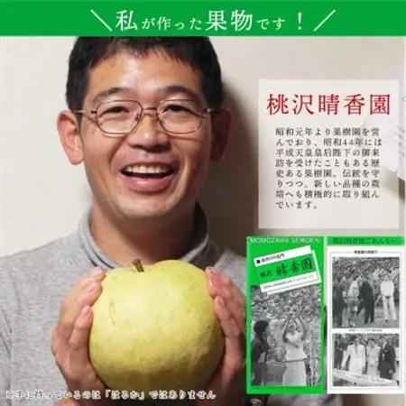 【桃沢晴香園】はるか(りんご)5kg【配送不可地域：離島・沖縄県】【1606258】