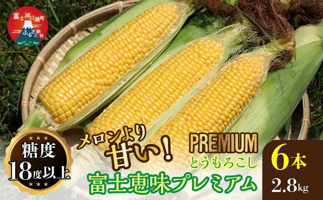 ＜25年発送先行予約＞一流リゾートホテル御用達☆糖度１８度を超えるとうもろこし富士恵味プレミアム６本 恵味ゴールド スイートコーン FAH002