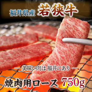 とろける若狭牛ロース 750g 【焼肉・ステーキ用】 [E-2102]