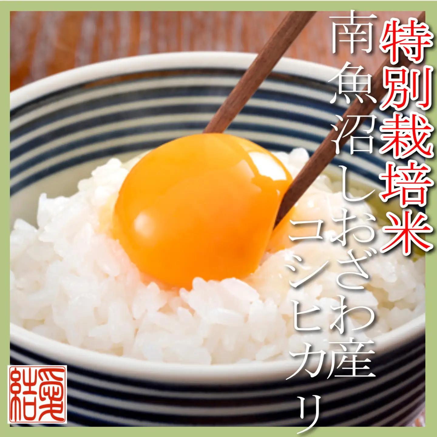 【令和7年産】【定期便5Kg×6ヶ月】【特別栽培米】 契約生産者限定  南魚沼しおざわ産コシヒカリ｜こしひかり