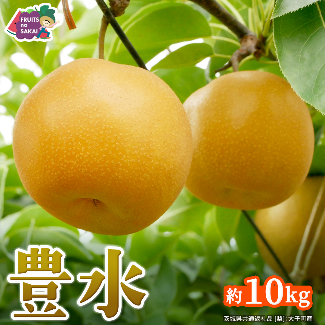 豊水 梨 約10kg 【2026年9月より発送開始】（茨城県共通返礼品 [梨]：大子町産） なし 旬 お取り寄せ フルーツ 甘い ジューシー 和梨 時期 [FC06-NT]