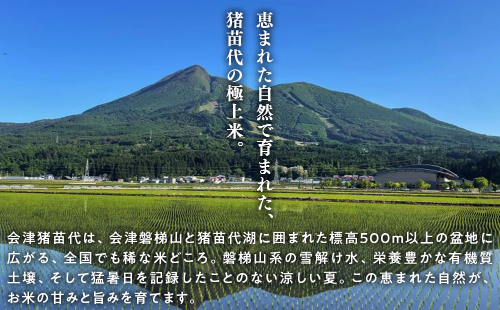 先行予約受付【令和8年度新米】【6ヵ月定期便】ギネス認定「世界最高米®」ゆうだい21 白米 6回×2kg 計12kg | 米 こめ 白米 精米 ごはん 2キロ 国産米 ブランド米 金賞 日本一 猪苗代