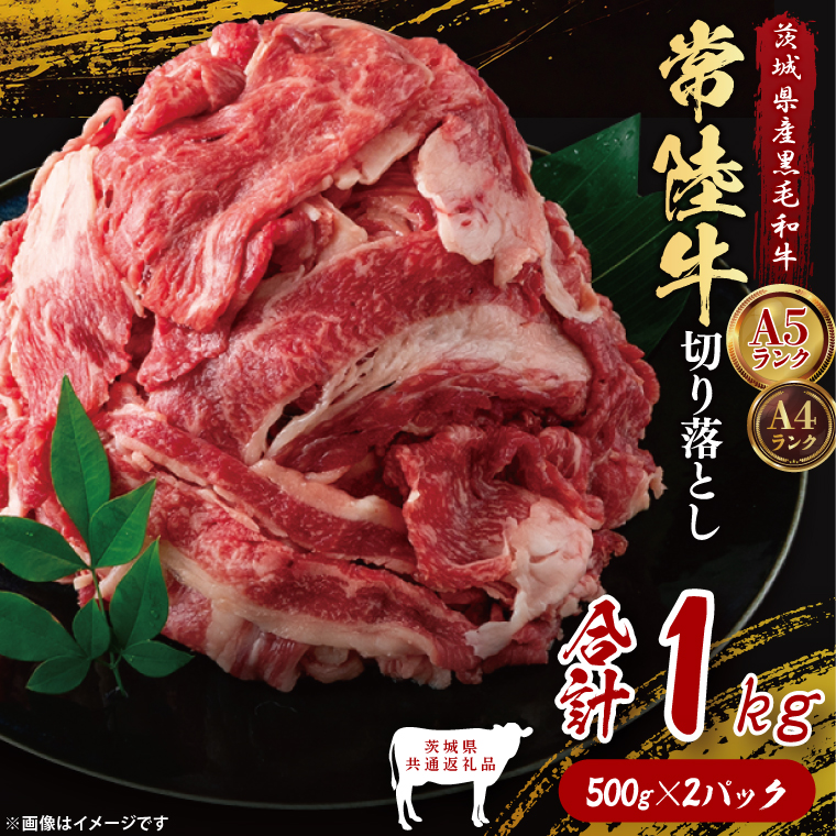 【茨城県共通返礼品】常陸牛切り落とし1kg（500g×2）｜ブランド牛 銘柄牛 和牛 黒毛和牛 国産 A5・A4ランク 等級 お肉 牛肉 牛丼 すき焼き 炒め物 小分け 茨城県 大子町（DD010）