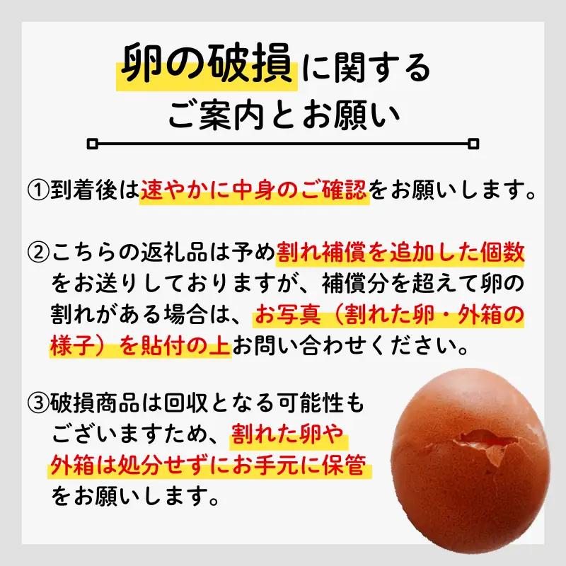 【卵 定期便6か月】 葉酸たまご 卵20個