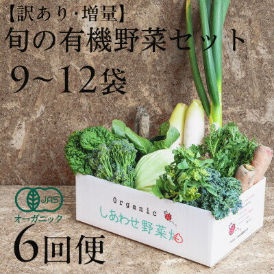 【ふるさと納税】【毎月定期便】しあわせ野菜畑のシェフⅬセット　(訳あり規格外の有機野菜を一部使用)全6回【配送不可地域：離島・北海道・沖縄県・四国・九州】【4066426】