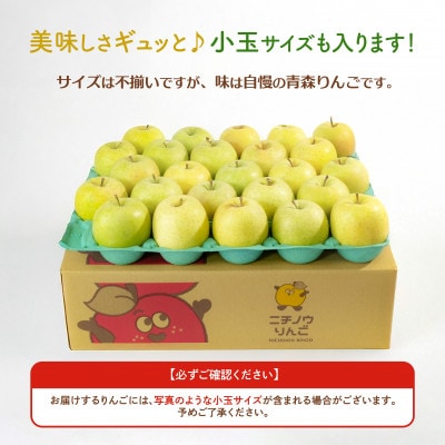【26年11月～3月発送予定】青森 りんご平均糖度13度以上! 王林 約10kg 訳あり  先行予約【配送不可地域：離島・沖縄県】