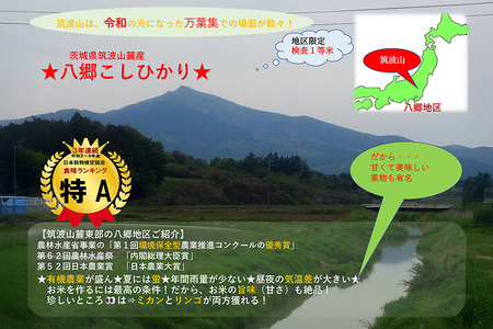 【玄米10kg⇒七分搗き米】筑波山麓厳選米【特A】令和7年産コシヒカリ（恋瀬姫の舞） B07-029