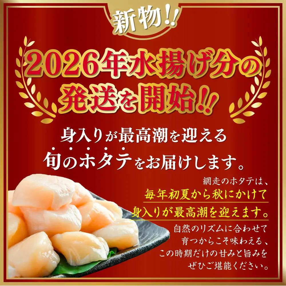 網走前浜産 無添加ホタテ貝柱【 900g (300g×3) 】 ABAI001 | ホタテ