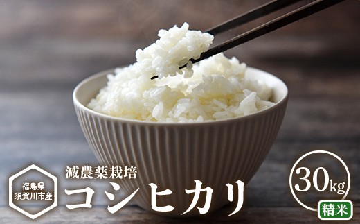 【減農薬栽培】福島県須賀川市産 コシヒカリ精米 30kg コシヒカリ 米 お米 精米 ブランド米 銘柄米 備蓄 日本米 こしひかり コメ ごはん ご飯 食品 須賀川 福島 F7X-0859