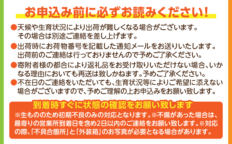 《2025年発送先行予約》【期間・数量限定】宮崎完熟マンゴー2玉 2Lサイズ(1玉350～399g)_M126-014_01