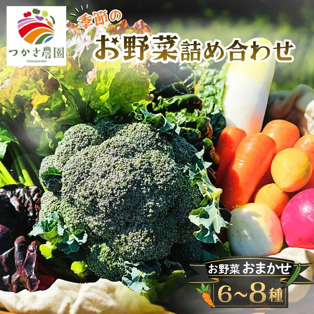 つかさ農園 季節のお野菜詰め合わせ（6～8種） ※北海道・沖縄・離島への配送不可 ※2026年6月中旬～9月下旬頃に順次発送予定