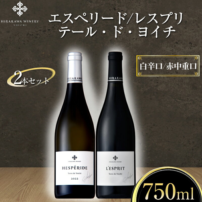 【ふるさと納税】【平川ワイナリー】ワイン2本セット エスぺリードテール・ド・ヨイチ レスプリ テール・ド・ヨイチ 余市 余市ワイン 北海道ワイン 平川ワイナリー 平川敦雄 赤ワイン 白ワイン 贈り物 プレゼント 北海道 余市町 送料無料