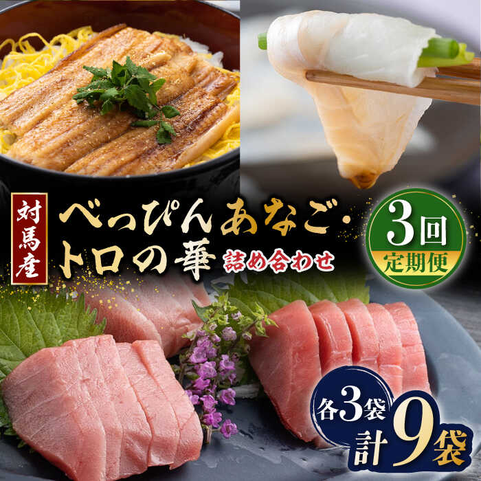 【ふるさと納税】【全3回定期便】べっぴんあなご・トロの華の詰め合わせ《対馬市》【桐谷商店】対馬 新鮮 マグロ 大トロ ふわふわ 穴子 魚介 刺身 鮮度抜群[WAQ009]