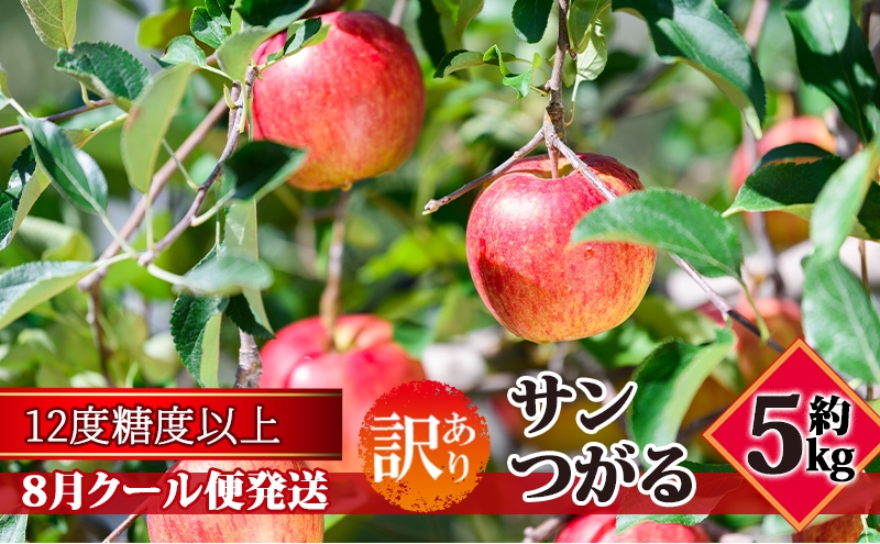 
                  【8月クール便発送】（糖度12度以上）訳あり品 家庭用 サンつがる約5kg【 青森りんご】
                