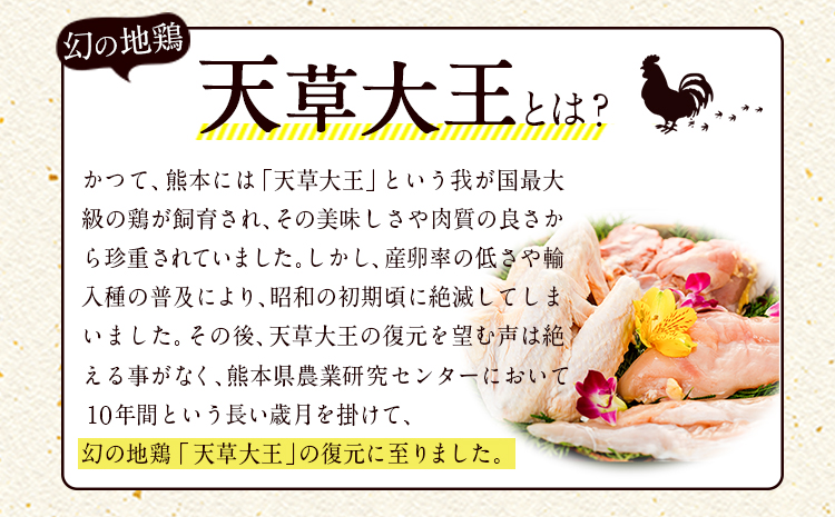 熊本県産 天草大王セット《60日以内に出荷予定(土日祝除く)》 もも肉 むね肉 ささみ 大手羽 パック  鶏肉---sn_f501daio_60d_21_11000_8p---st-p