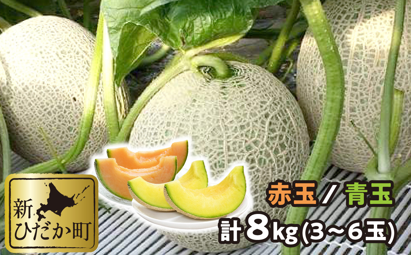 
            ＜ 2025年 7月中旬より発送 ＞ 北海道産 メロン 赤肉 青肉 8kg 3～6玉 食べ比べ セット ＜ 予約商品 ＞ 北海道 めろん 果物 フルーツ 旬 贈答 
          