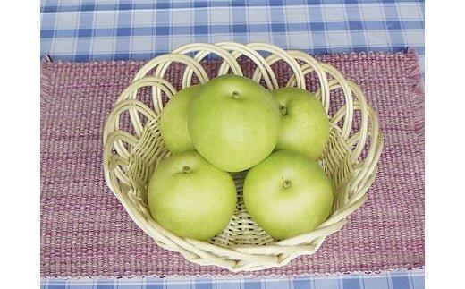 278.二十世紀梨　５ｋｇ（ＪＡ）　※2025年8月下旬～9月上旬頃に順次発送予定