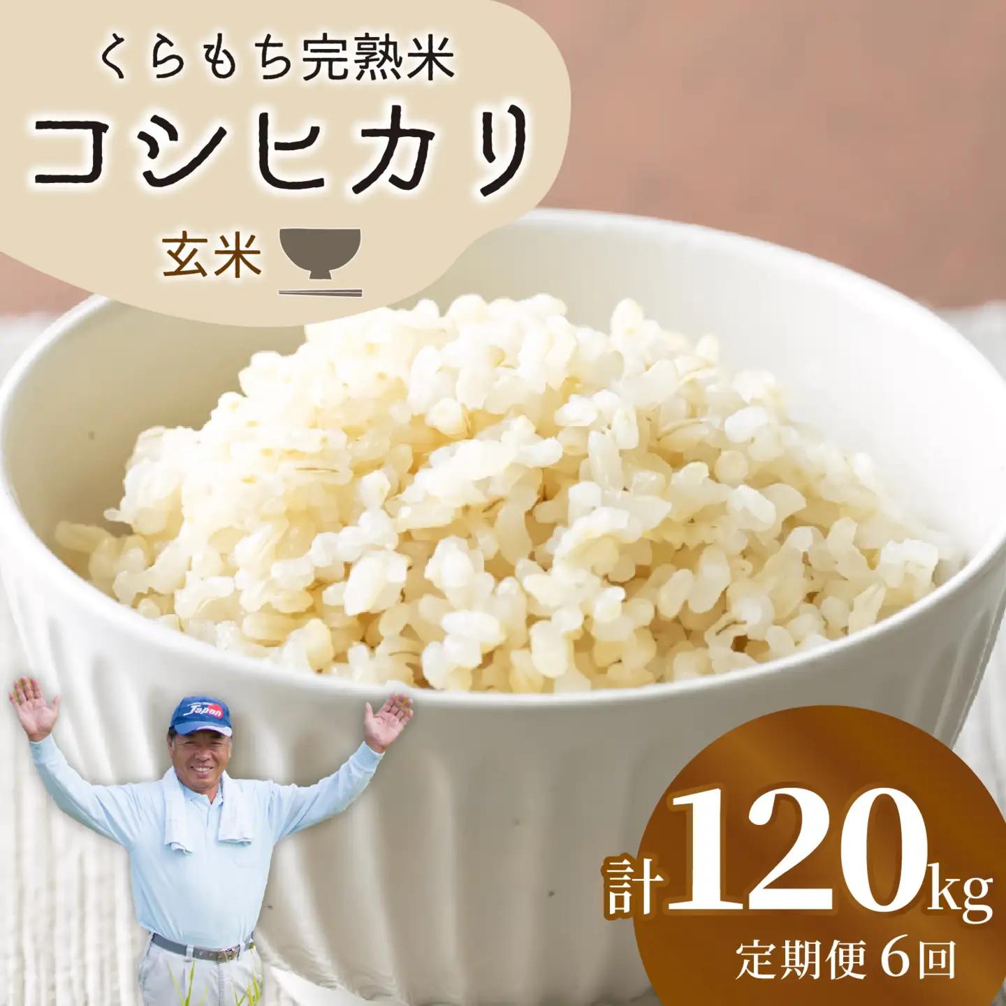 【先行予約】【令和8年産 新米】【12ヶ月定期便】くらもち完熟米 コシヒカリ 玄米 10kg（5kg×2袋）×12回　計120kg